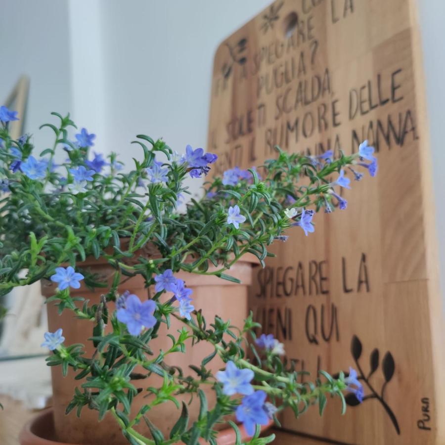 Pura B&B Noicattaro Eksteriør billede